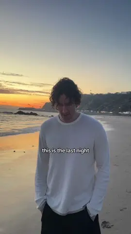 🌺🌺🌺