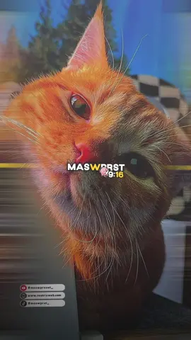 Dj Jawa emang enakeun🤤 preset am dibawah 5MB & XML #maswpreset🎟 #presetdibawah5mb🎟️ #presetalightmotion #presetxml #presetxml5mb #preset? #brandatiktok #fypシ 