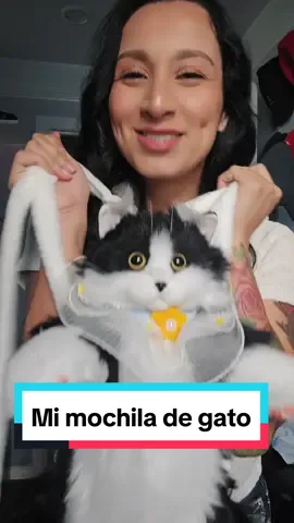 Por aquí amamos a estas bolas de pelos 🥰 #mochila #gatos #amantedelosanimales #parati #fyp #tiktokshop #viral  #tiktokshopspringsale #chongkerus @chongkerus 