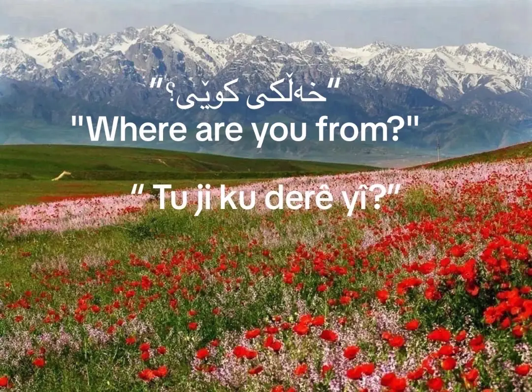 شارەزوری💖                    #kurdistan #kurds #sharazwr #bashur #bakur #fyp #viral #FreeKurdistan #foryou #xybca #vairll