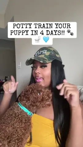 #pottytraining is EASY! Here are some tips!! ✨🦴🐾 Any questions, comment below! #pottytrain #pottytraininngtips #tips #dogmom #dogdad #dogsoftiktok #training #trainingdog #dogcare #housebroken #housebreaking 