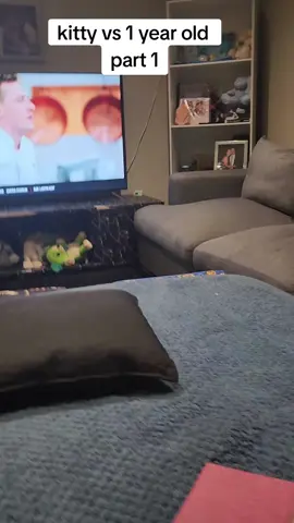 kitty vs 1 year old part 1#foryoupage #toddlersoftiktok #kitty #baby #wrestling #mumsoftiktok #Love 