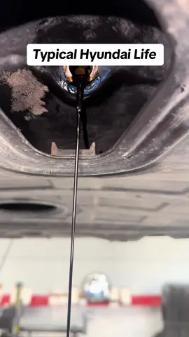 How many engines will #Hyundai cover ? Is it 3 or 4 ? #Sonata #Oil #Oilchange #Kia #Mechanic #mechaniclife #mechanicsoftiktok #autoshop #autorepair #auto #car #foryoupage #fy #fyp #foryou #viral 