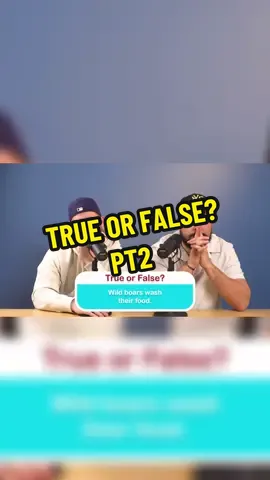 True or False 👀 #thebasementyard #thebasementyardpodcast #thebasementyardclip #frankalvarez #joesantagato #santagatostudios #fyp 