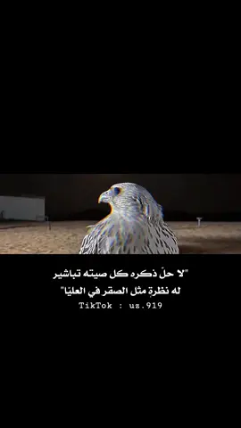 منشن لاحد يستاهل هذا البيت #ستوريات #ابيات_شعر #تصاميم_فيديوهات #عباراتكم_الفخمه📿📌 #CapCut 