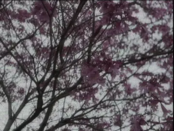 the sound of disappearing #dreamcore #corecore 