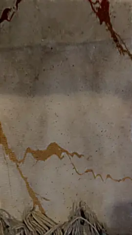 #حجي_سرهنك_قصاب #يوسف_قصاب #شركه_رحلة_القصاب #باصات_العراق🇩🇪 #ام_سيوف_الوحش_الماني #الشعب_الصيني_ماله_حل😂😂 #طششونيي🔫🥺😹💞 #ابقه_شامخ_عليكم #جلف_جلف_شلوخ_احنه_اهل_الشلوخ_وكطعع✌️ #باصات_بيت_القصاب🇩🇪 #بيت_القصاب #شلوخ_مانبيع_ما_عدنه_شي👑🧭 #تين_وجلاتين_شعدكم_ليمون_اعصرو_حجي #عبده_سوده@عماد القصاب @الحاج يونس قصاب 🚸🥇 