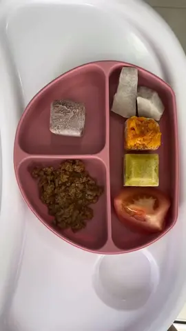 Congelando papinha de bebê. ✨️ #blw #papinha  #introduçãoalimentar #comida #introducao #bebe1ano 