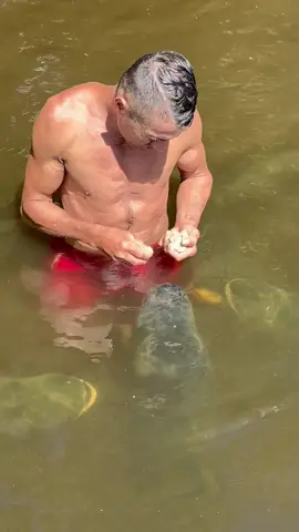 #valdemir encantador de peixes gigante 