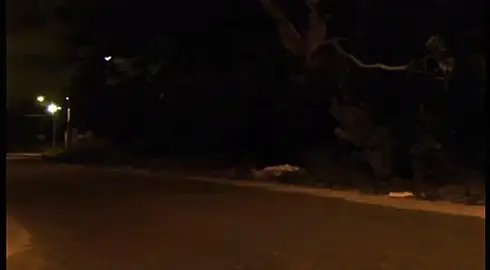 chamadas que nunca serão atendidas... #nostalgia #nostalgiacore #real #unkicorp #dreamcore #weirdcore 