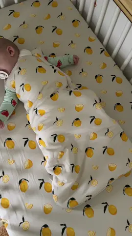 obsessed with these new cute prints from @kytebaby 🍉🍋 #kytepartner #fyp #kytebaby #MomsofTikTok #safesleep #mom #motherhood #fypシ #momlife 