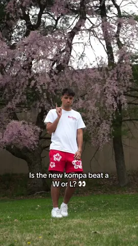 presave on spotify in my bio 🏝️ #kompa #frozy #editaudios #islands #summervibes #dancemusic #reggaeton #CapCut 