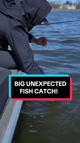 You never know what a lipless crankbait will catch you 🤣🎣 #fishing #fishingdaily #fisherman #fishinglife #viral #fishtok #trending #fishingrods #bigfish #carp 