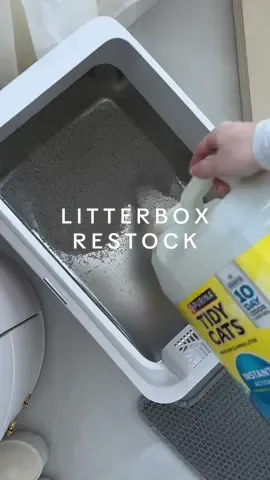 Replying to @Victoria Rose BEAUTY CREATOR a litter restock to show you exactly how much fits in our new stainless steel litter box! 🫶 #stainlesssteellitterbox #restockwithme  #tiktokshopcat #aestheticcat #tiktokmademebuyit #springreset #catessentials #catlitterbox #catowner #ttsacl #creatorsearchinsights #vanillagirlaesthetic #cataesthetic #aestheticvideos #catmomlife #refillandrestock #refillday #restocking  OGs know this is Winnifred’s SECOND stainless steel litter box! Jackson Galaxy's advice of 