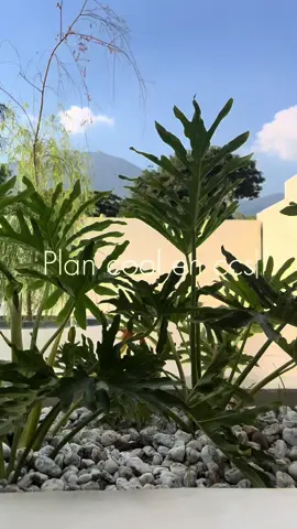 Nuevo sitio de #yoga en #caracas 👀 #theplace #parati 