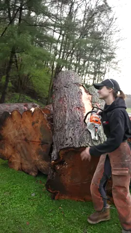 Got wood?  . . . . #chainsawjenna #chainsaw #wood #maple #whitpine #hemlock #tree #chainsawcarver #stihl 