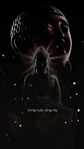 Có bao giờ ma giết người đâu.. toàn người sống giết nhau thôi. #phatphapnhiemmau #phatgiao #adidaphat #phatphap #cuocsong 
