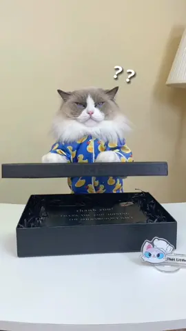 🏁🥈 Just snagged second place in the SHEBA® Gravy Race, thanks to Sheba’s inspiring gift! Puff’s fired up to practice even harder! 🐾💪 #ThatLittlePuff #ShebaGravyRace #PuffGoesForGold