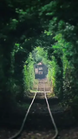 “Hurting someone’s feelings is as easy as throwing a rock into the ocean. But, you will never know how deep that rock actually goes.” #fup #hurt  #fup #hurt 