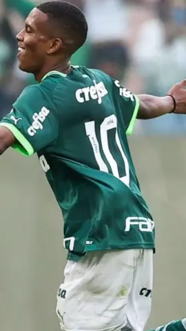 Gol do Estevão, Palmeiras x Liverpool  #palmeiras #liverpool #libertadores #estevao #gol 