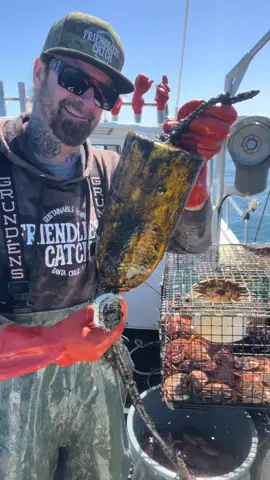 Buoys diving, Barnacles Bursting, Babies being born on Easter! #fyp #friendliestcatch #seafood #asmr #babygirl #crab #ocean 