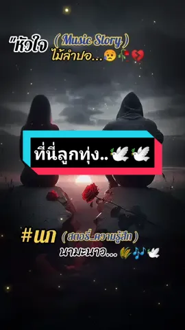 #หัวใจไม้ลําปอ #นกนามะนาว #coversong #สถานีเพลงเพราะ #คนรักเสียงเพลง💙💙💙🤟🤟🤟 #สตอรี่_ความรู้สึก😔🖤🥀 #เพลงเพราะๆโดนใจ🥀❤❤🥀 