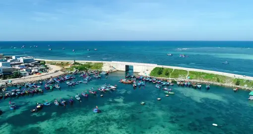 Vương quốc tỏi, huyện lý sơn quãng ngãi #xuhuong #daolyson2024 #xuhuongtiktok #lyson ##lysonquangngai #bienlyson🦄🐣 #CapCut #huyendaolyson #nuithedoi #canhdepthiennhien #lyricsvideo 