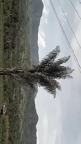 #fypシ゚viral #healing #dailyvlog #jumat #laesibintoa 