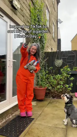 Thanks everyone for your concerns - comments off for now people started to be unkind to each other.  I’ve tried lots of different things  in the past & this time it came down to budget. BUT You were wonderful & gave me lots and lots of alternatives to try going forward, I’m grateful for your tips, Clare 🫶 #patiocleaning #gardeninghacks #budgetgardening 