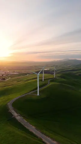 The vibrant green hills and wind farms of the East Bay, California #bayarea #eastbay #california #windfarm #windmills #fyp #drone #aerialshots #sunsetlover #livermore 
