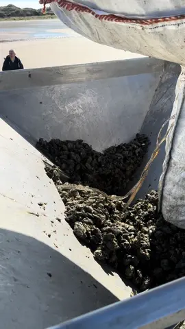 Objectif : porter le moins possible 😉 ###pourtoi #foryou #mussels 