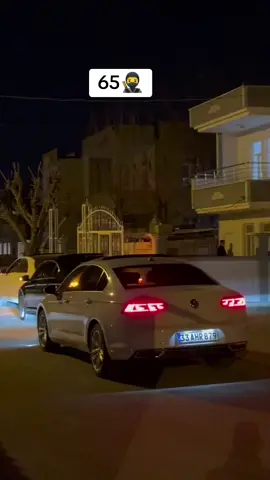 Mekanın sahipleri🥷 #van #ertoşiaşireti #gevdanaşireti #keşfetteyizzz #keşfetedüş #pasat #bayramıpashafencerilegeçirin 