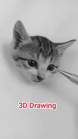 Cat 3D Drawing #fypシ゚viral #fyp #arthand 