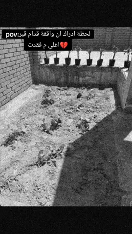 ربنا يرحمك ي امى ويجعل قبرك روضة م رياض الجنه ولا يجعلة حفرة م حفر النار 💔🥹