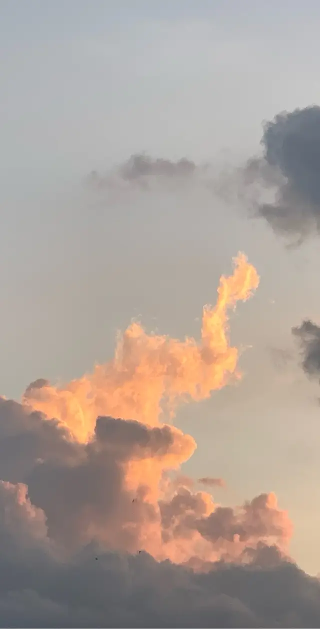 Ngày hôm nay của cậu thế nào? #sky #maytroi #bautroi #skyline #troixanhmaytrang #photo #hinhnen #hinhnendienthoai 