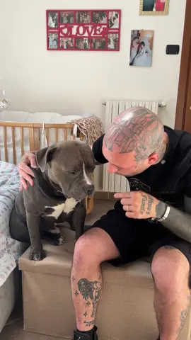 In Italia si possono bruci*re i cani vivi e si possono maltrattare gli animali !!!! Nessuno tanto farà mai NULLA !!!!!! 😣