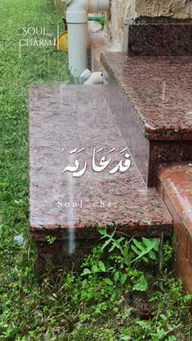 فَدَعَا رَبَّهُ أَنِّي مَغْلُوبٌ فَانتَصِرْ 🤲🏻|الشيخ محمد صديق المنشاوي والمطر❤️ • • • • #مطر#عيد#اكسبلور#قران#المنشاوي#القران_الكريم #muslim 