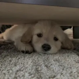 คิดถึง🥺 #pov #เธรด #เธรดคําพูด #เธรดคลั่งรัก #เธรดความรู้สึก #fypシ 