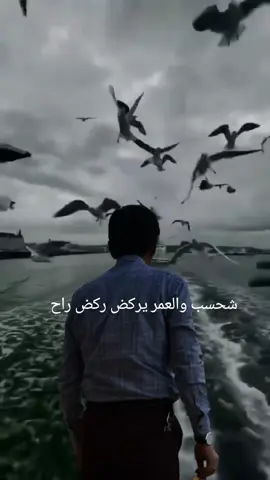 #شحسب#شعر #خواطر #حزین #ترند_تيك_توك #موال #عتابه #ترند_تيك_توك #بغداد_بصرة_موصل_الكويت_الخليج_دبي_ #البصره #دهوك #كوردستان #دبي_مول_برج_خليفه #ترند_جديد 