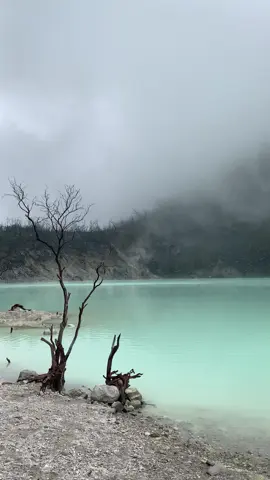 Cinta cinta cinta lieur🤪 #ciwideyrancabali #kawahputih #kawahputihbandung #bandung #healing #xyzbca 