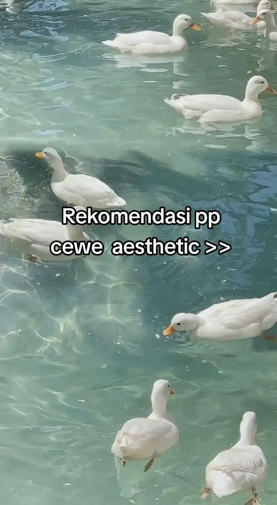 ada yang mau req gak? 🙆‍♀💗✨💐#moots? #aesthetic #pfp #pp #fyp 