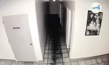A witness by the name of Reyna provided the following 2 security recordings from her office. She states an employee of hers passed away and now they think they are being haunted. Weird stuff keeps happening, what do you think? #theparanormalchic #haunted #ghost #employee #ghosts #ghostsighting #paranormal #work #ghosthunting #ghosthunters #witness #evidence #proof #paranormalvideos #supernatural #theotherside #ghostemane #ghostbusters #paranormalactivity #spooky #paranormalinvestigator #fyp 
