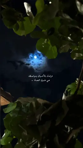 الحق علي بالوصل يامال الغناه ❤️ #اكسبلور #explore #foryou #fyp #تصويري #بندر_بن_عوير 
