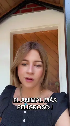 #xofi08 #venezuela🇻🇪 #sifrinas #videoschistosos #comedia #storytime #videosdehumor #viral 