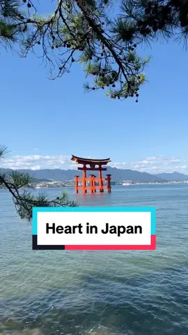 Come with me on the best vacation.. ever! When can I go back please? 🥹 #japantravel #japantiktok #mytriptojapan 