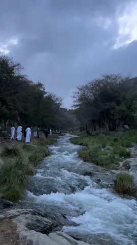 من شلال وادي الحمده الان 🍃 .                                    #اكسبلور #اكسبلورexplore #fypシ #foryoupage #الباحه #شلال_الحمدة #شلال #المندق 