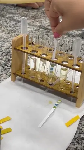 aula prática de bioquímica! pH + proteína ✨️ #nutri #nutriemformação #faculdade #nutricionista #nutrição 