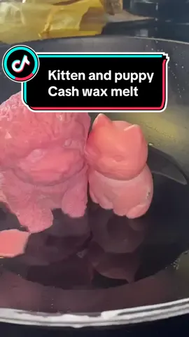 Kitten and puppy cash wax melt duo with real money inside omg #cashwaxmelt #moneywaxmelt #cashmoneywaxmelt #kittencashwaxmelt #puppycashwaxmelt #jewelrycandles #waxwok #meltingthecashwax 