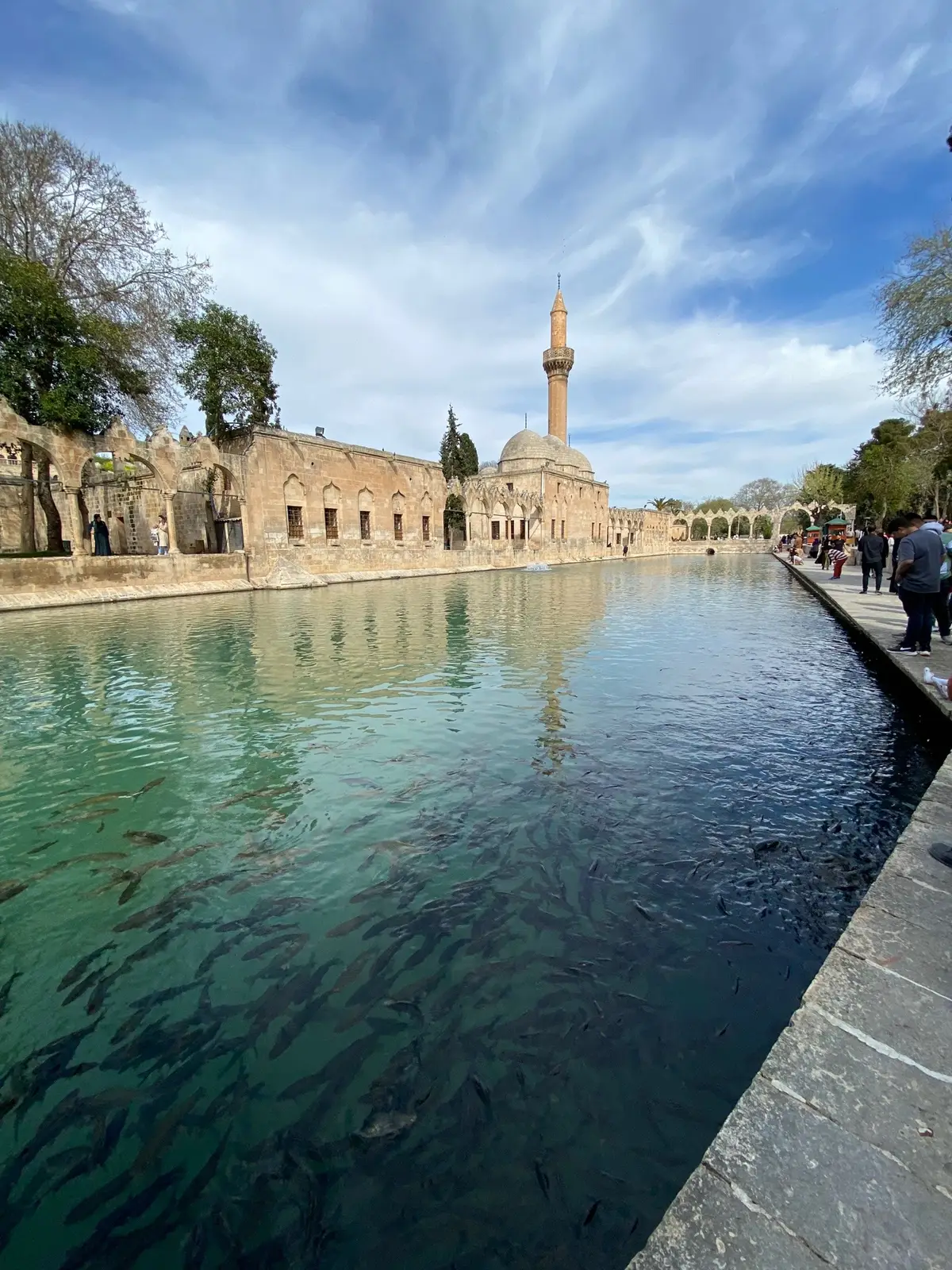 Balıklı Göl DUMP✔️#bayram #keşfetteyizzz #keşfetbeniöneçıkar #keşfetbeni #dump #şanlıurfa #balıklıgöl 