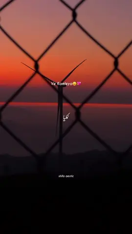 Ve Kamleya!🥹💖#shifaaestic #foryou #foryoupage #fyp #lyrics #song #vekamleya 